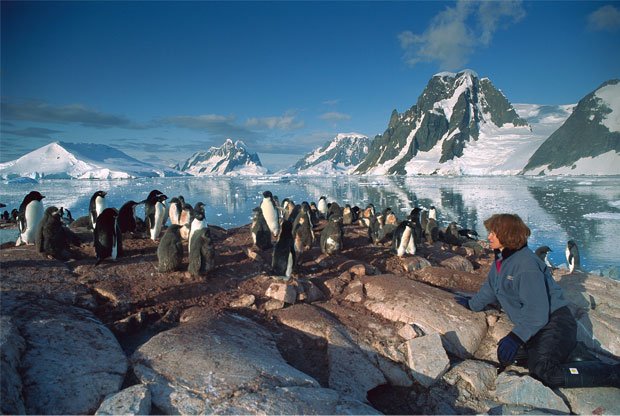 Gallery: All eyes on the ice - Australian Geographic