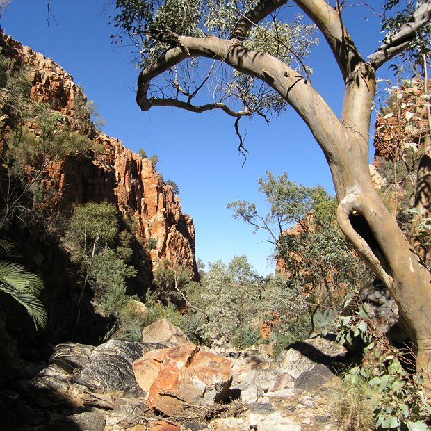 Gallery: Trekking the Larapinta Trail - Australian Geographic