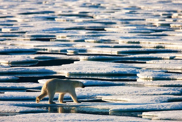 Gallery: The melting glaciers in Greenland - Australian Geographic