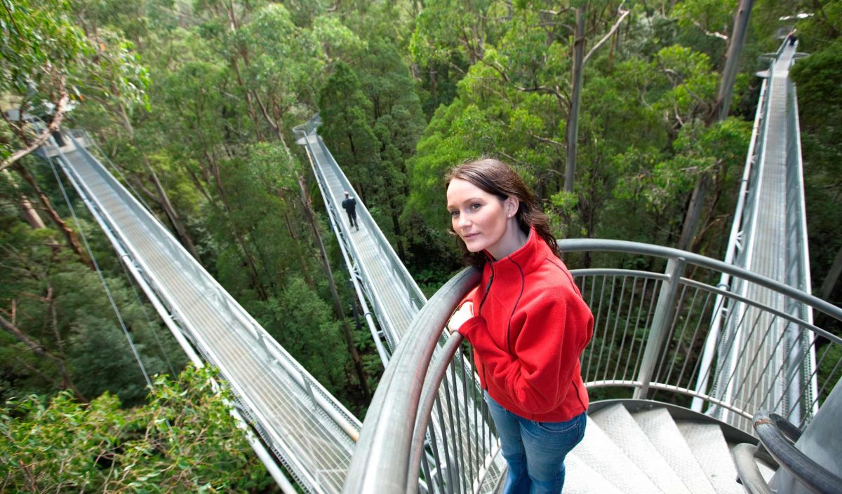 Australia's best tree-top walks - Australian Geographic