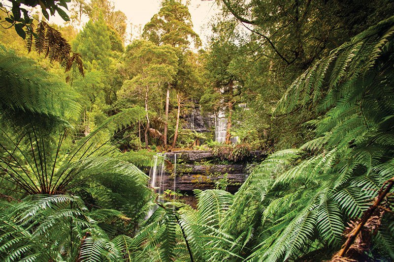 GALLERY: Mount Field, Tasmania - Australian Geographic