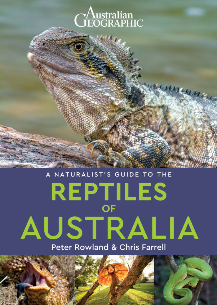 A Naturalist Guide To The Reptiles of Australia Australian Geographic