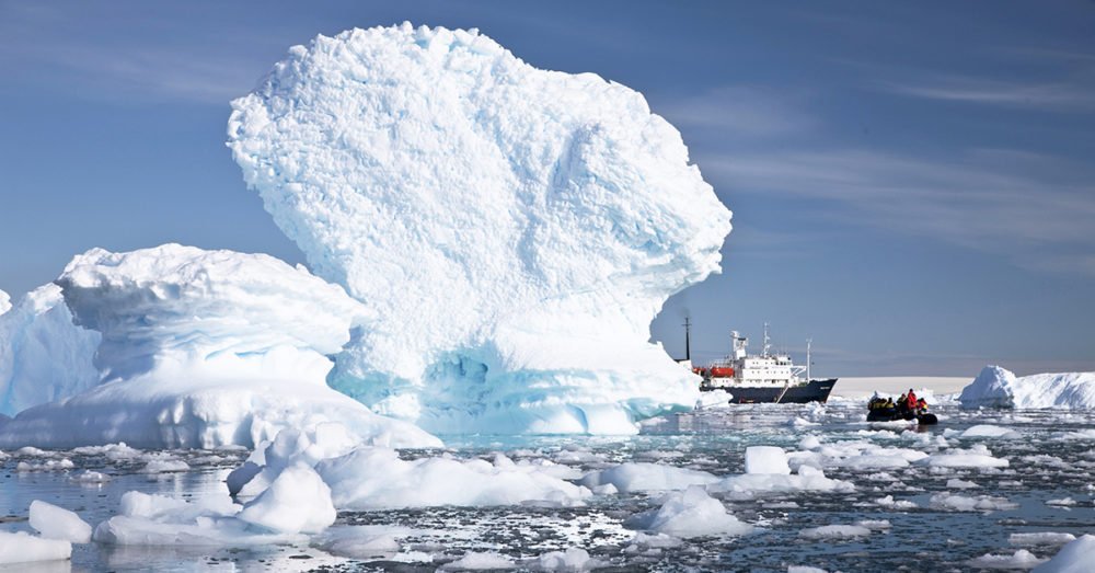 Southern Ocean Safari - Australian Geographic