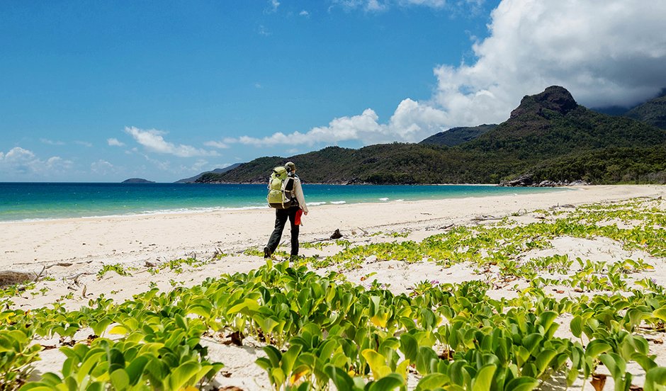 Trekking The Tropics: Thorsborne Trail, Hinchinbrook - Australian ...