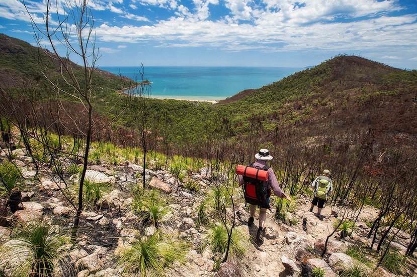 Trekking The Tropics: Thorsborne Trail, Hinchinbrook - Australian ...