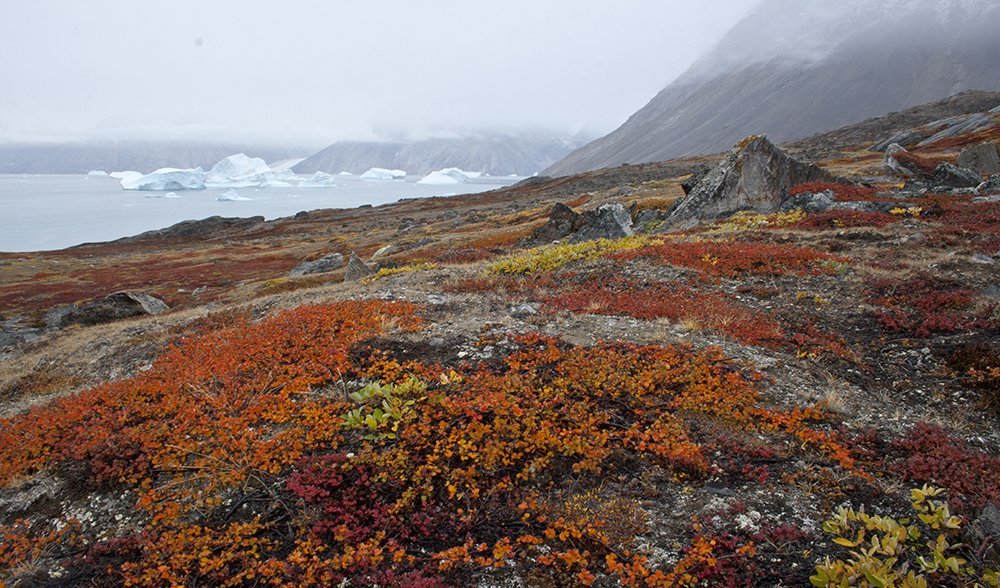 Arctic jewels: Sailing the ice kingdom - Australian Geographic