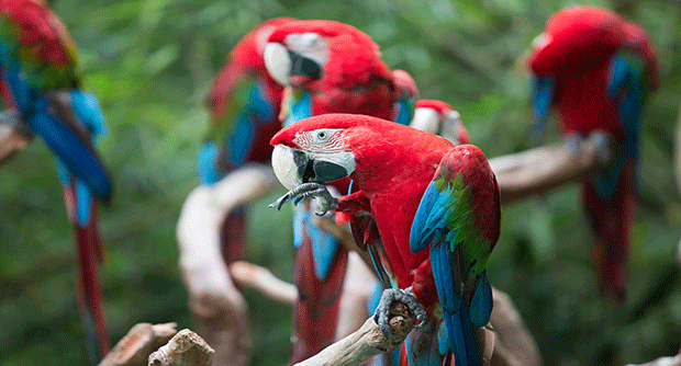 Gallery: Unveiling Patagonia and Peru - Australian Geographic