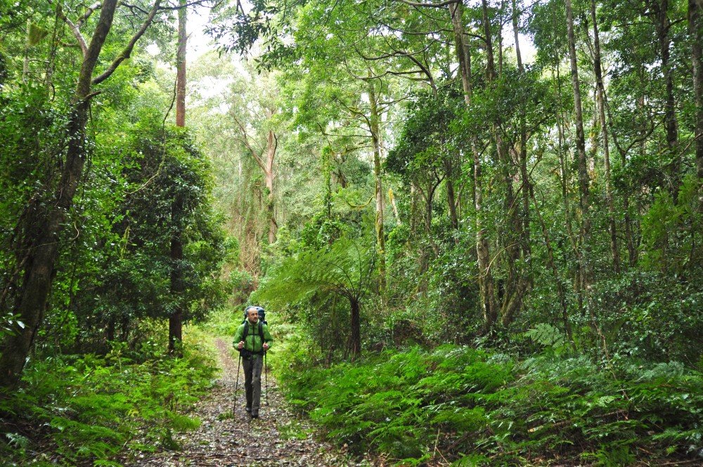 Gone wanderin' in Gondwanaland - Australian Geographic