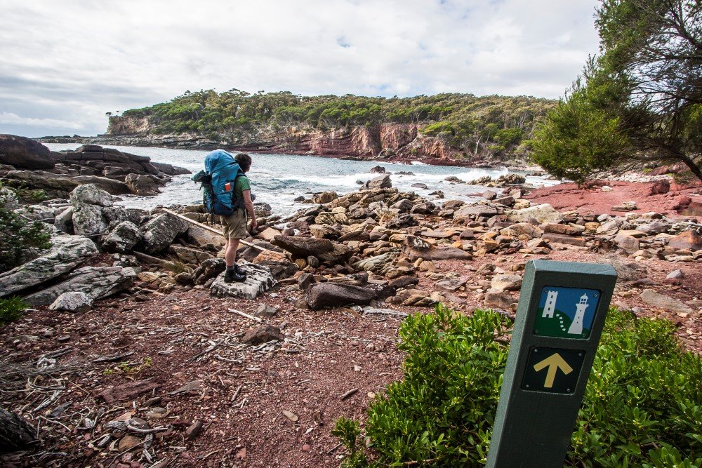 Southern Homecoming Australian Geographic