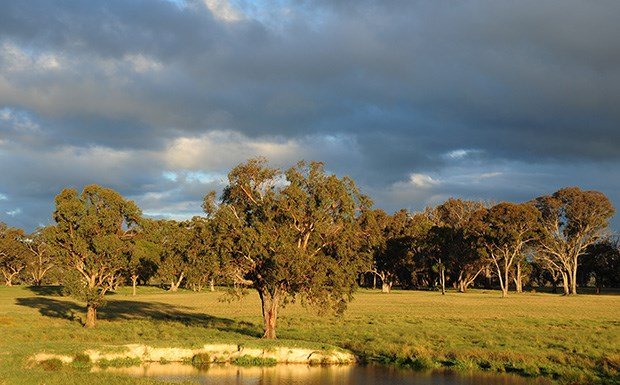 Glen Innes, New South Wales