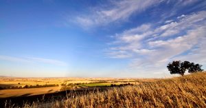 Goyder's Line: Life on Goyder's Line - Australian Geographic