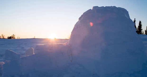 Igloo tundra 2024