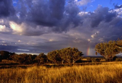 Top 10 Places To Fossick For Gemstones In Australia Australian Geographic