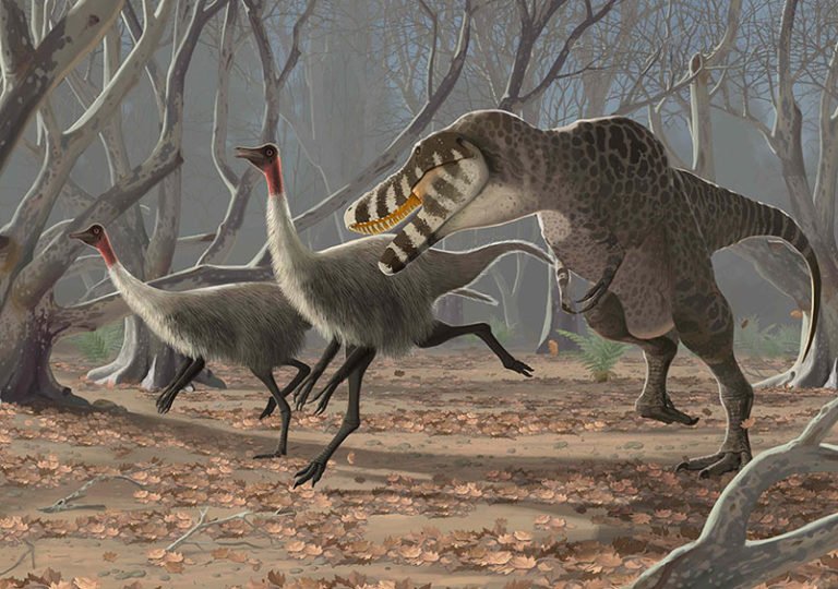 Gallery: The world's greatest palaeoart - Australian Geographic