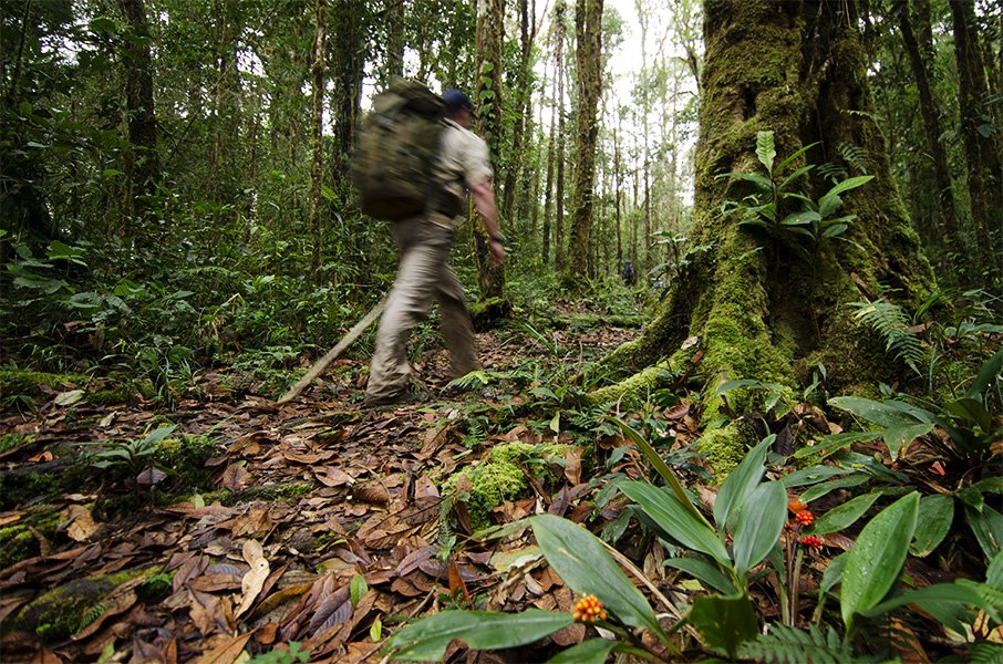 Walking Among Ghosts Australian Geographic