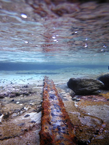 Gallery: Ten Below images of an underwater world - Australian Geographic