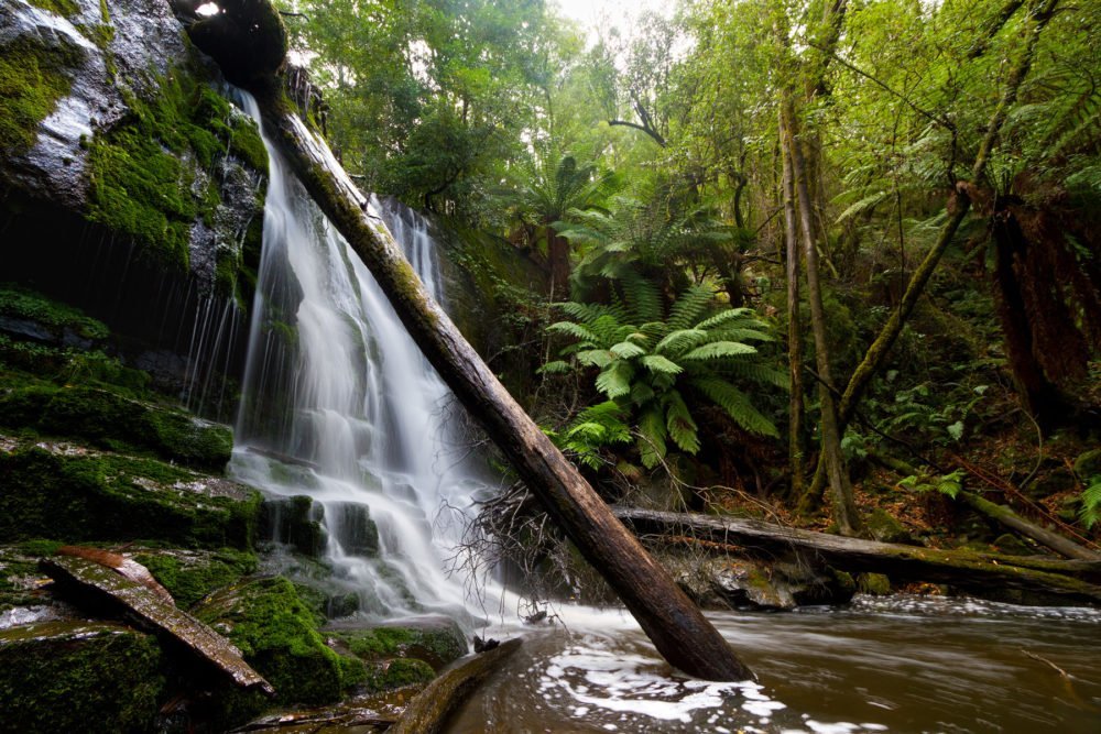 Lilydale Falls, Tasmania - Australian Geographic