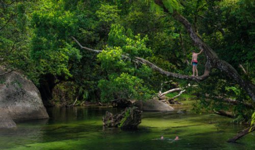 Rainforest To Reef Tropical North Queensland Australian Geographic