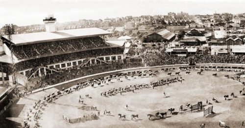 The Royal Easter Show: A Grand Tradition - Australian Geographic