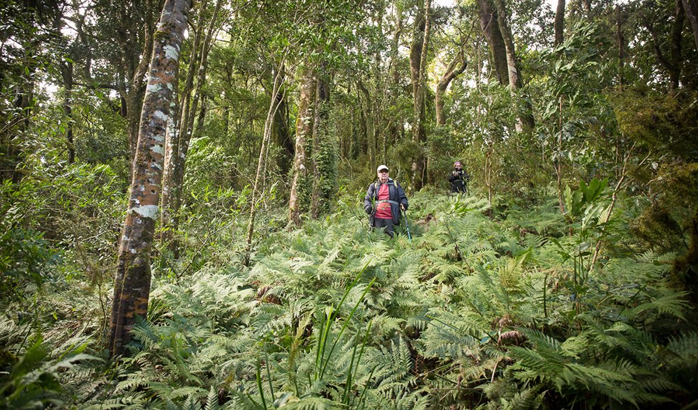 GALLERY: Scenic Rim Trail, Brisbane - Australian Geographic