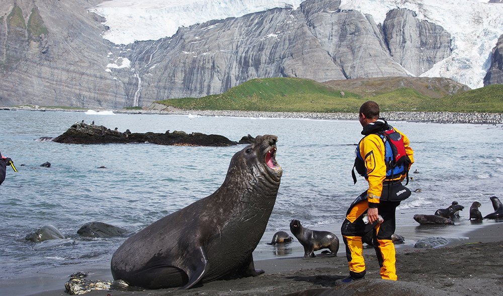 South Georgia paddle adventure - Australian Geographic