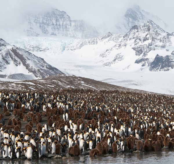 Gallery: The many shades of Antarctica - Australian Geographic