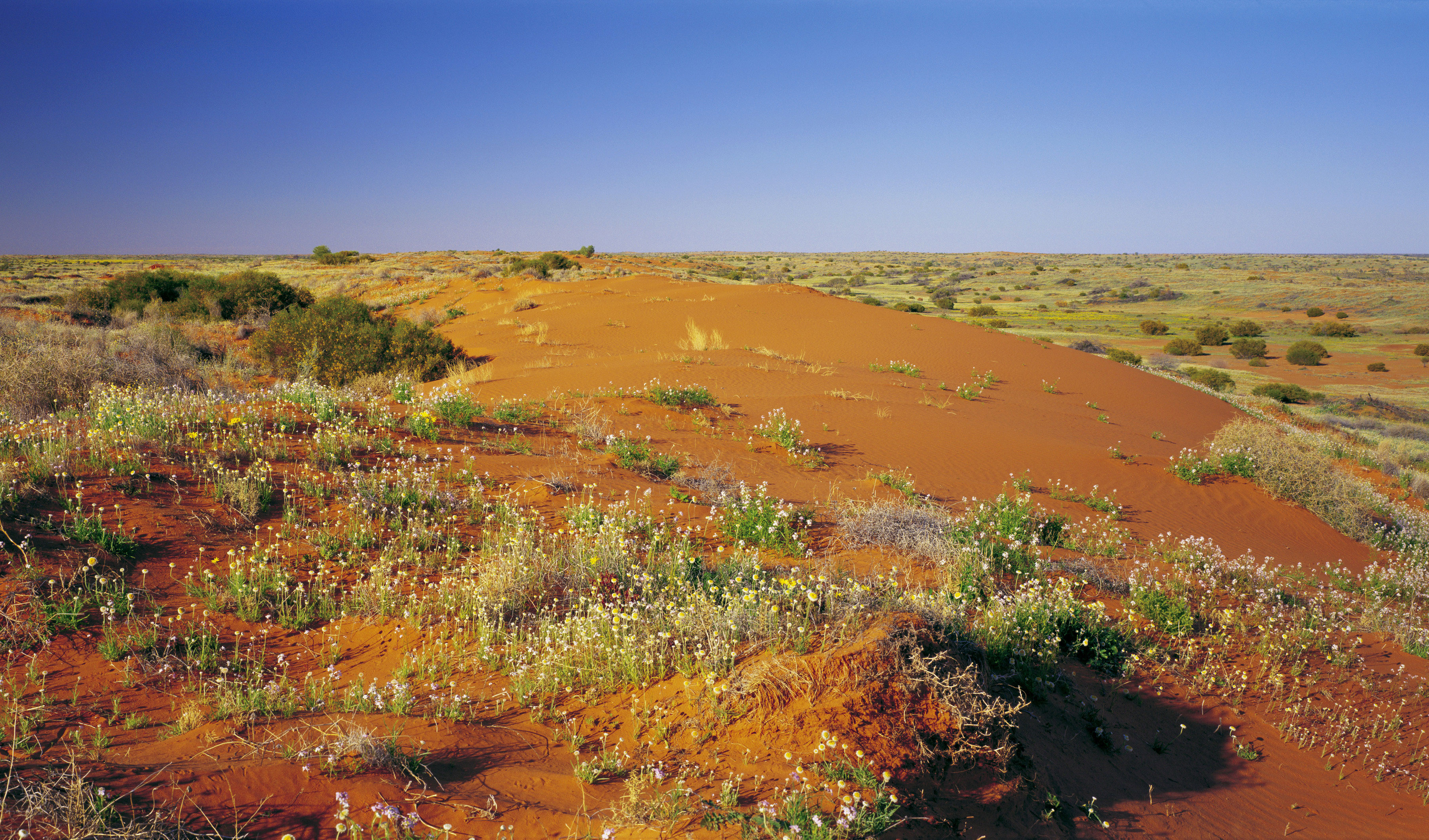 GALLERY: Australia's desert landscapes - Australian Geographic