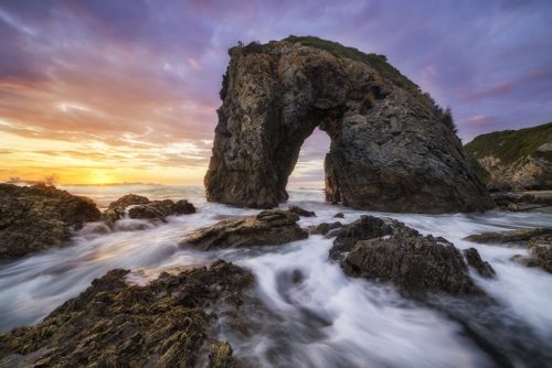 Horse head rock - Australian Geographic