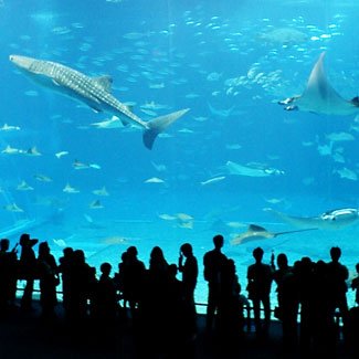 The underwater channel - Australian Geographic