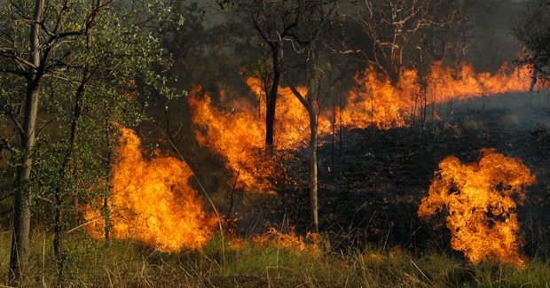 Aboriginal burn-off theory hosed down - Australian Geographic