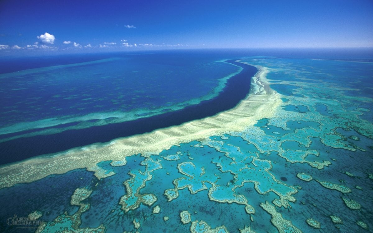 Great Barrier Reef: is there still time to save this national treasure?