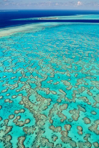 Aussies unfit to care for Great Barrier Reef? - Australian Geographic