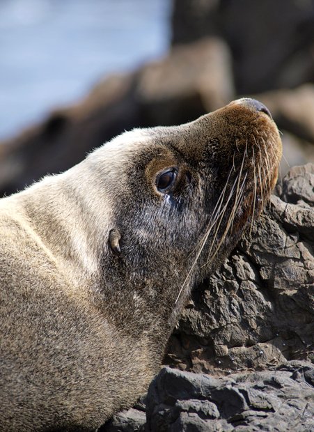 Gallery: Heysen Trail - Australian Geographic