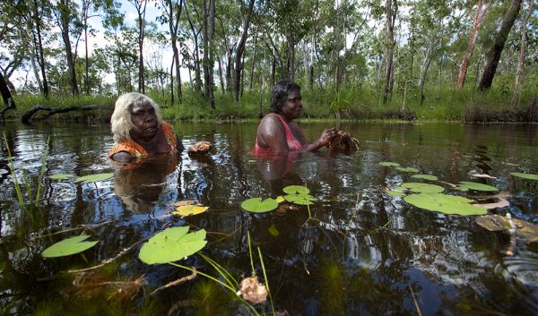 Woven into the Earth: Unraveling the Deep Connection Between Aboriginal Australians and Nature