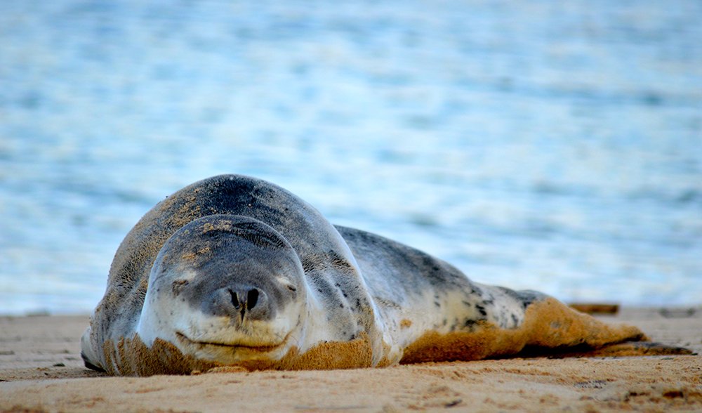 Australian wildlife Best of the AG reader photos Australian