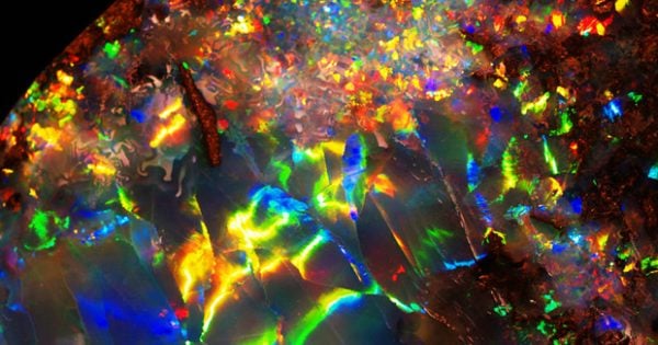 Uncovered: the truth about opal formation - Australian Geographic