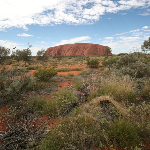 Gallery: The greening of the Red Centre - Australian Geographic