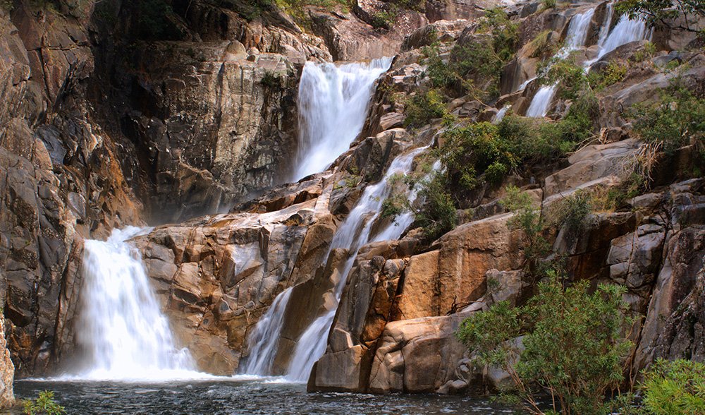 Mt Bartle Frere, Queensland's highest peak - Australian Geographic