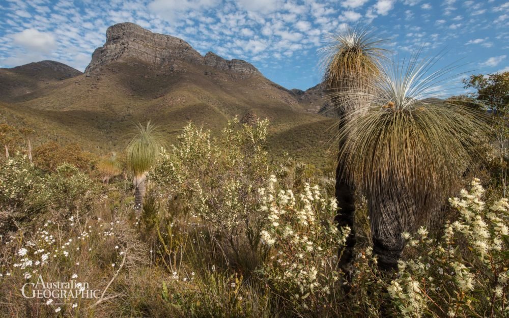 Bluff knoll - Australian Geographic