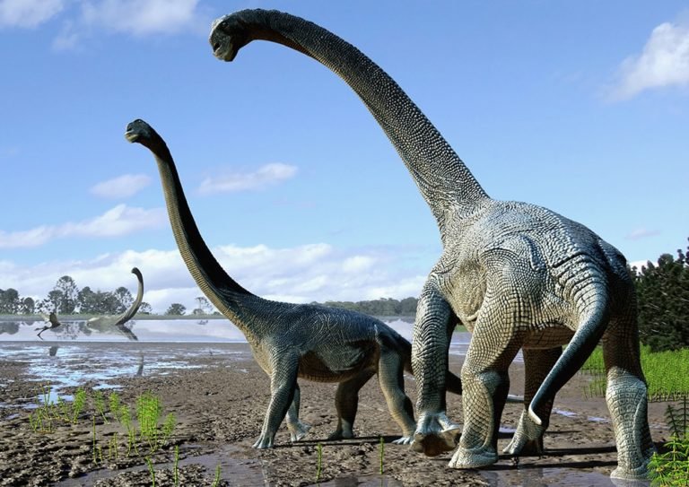 Huge New Dinosaur Hints At When Sauropods Arrived Down Under ...