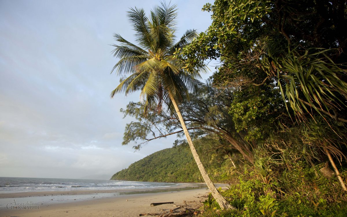 Coconut Beach, Queensland - Australian Geographic