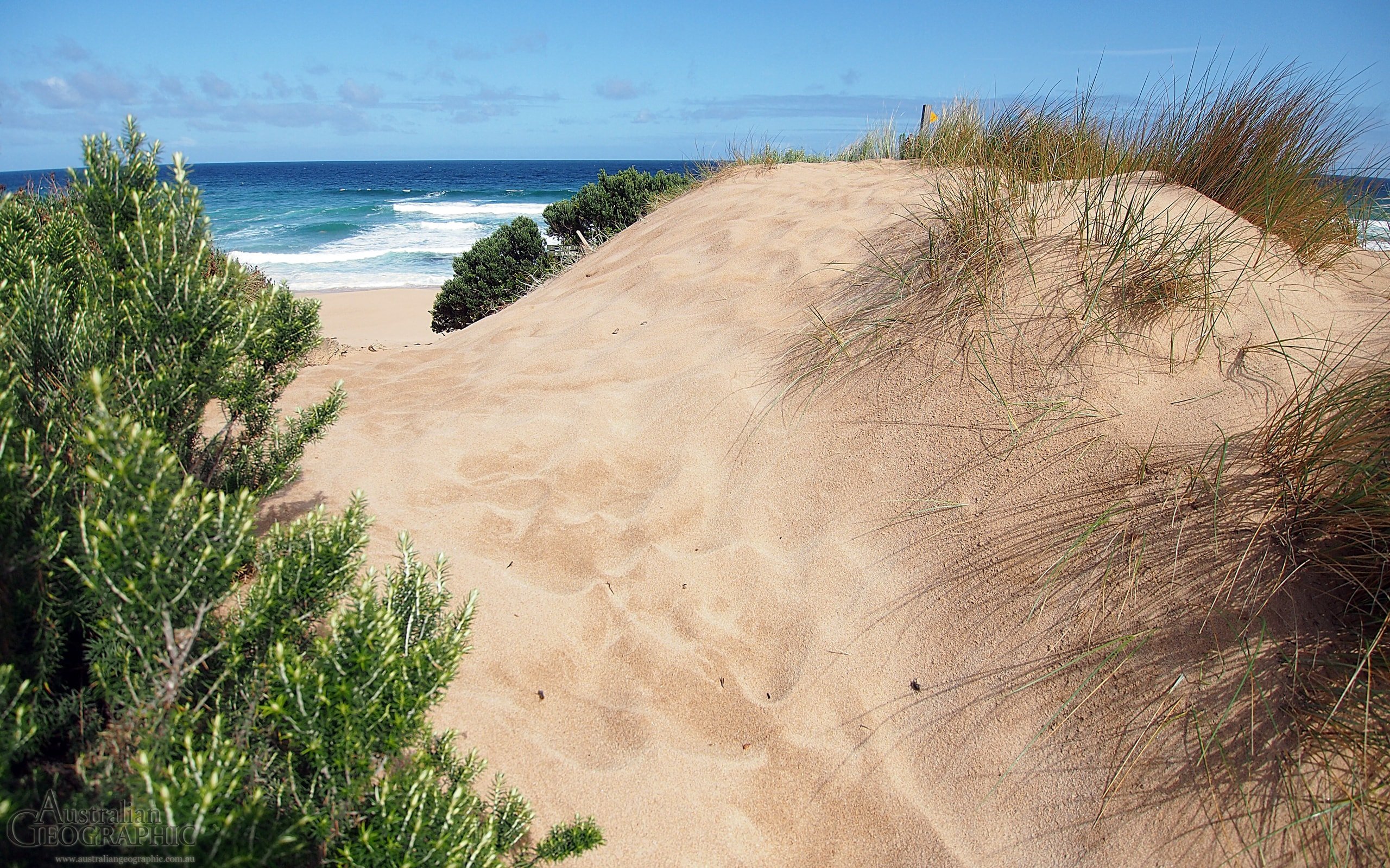 Great Ocean Walk, Victoria - Australian Geographic