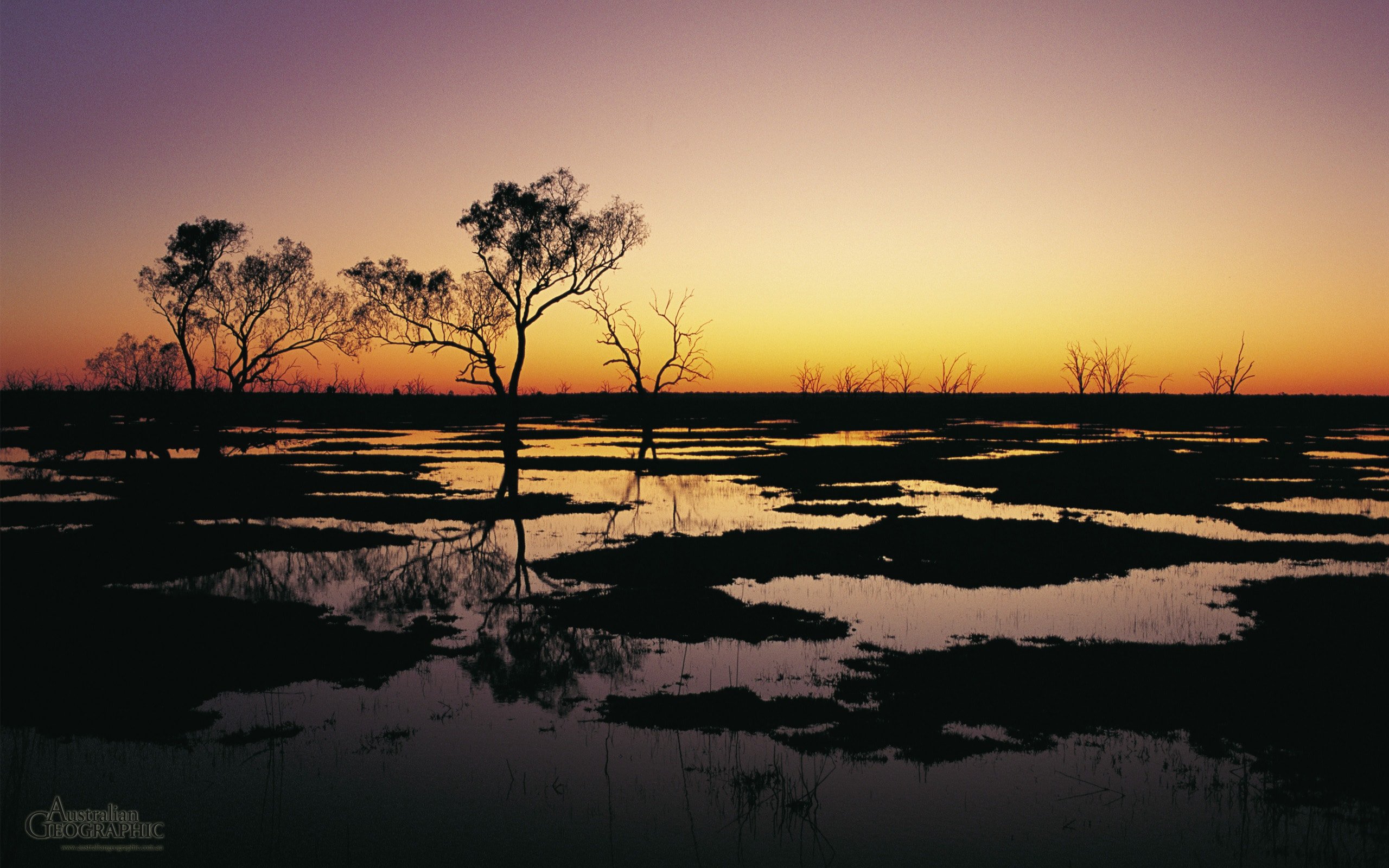 Macquarie Marshes, NSW - Australian Geographic