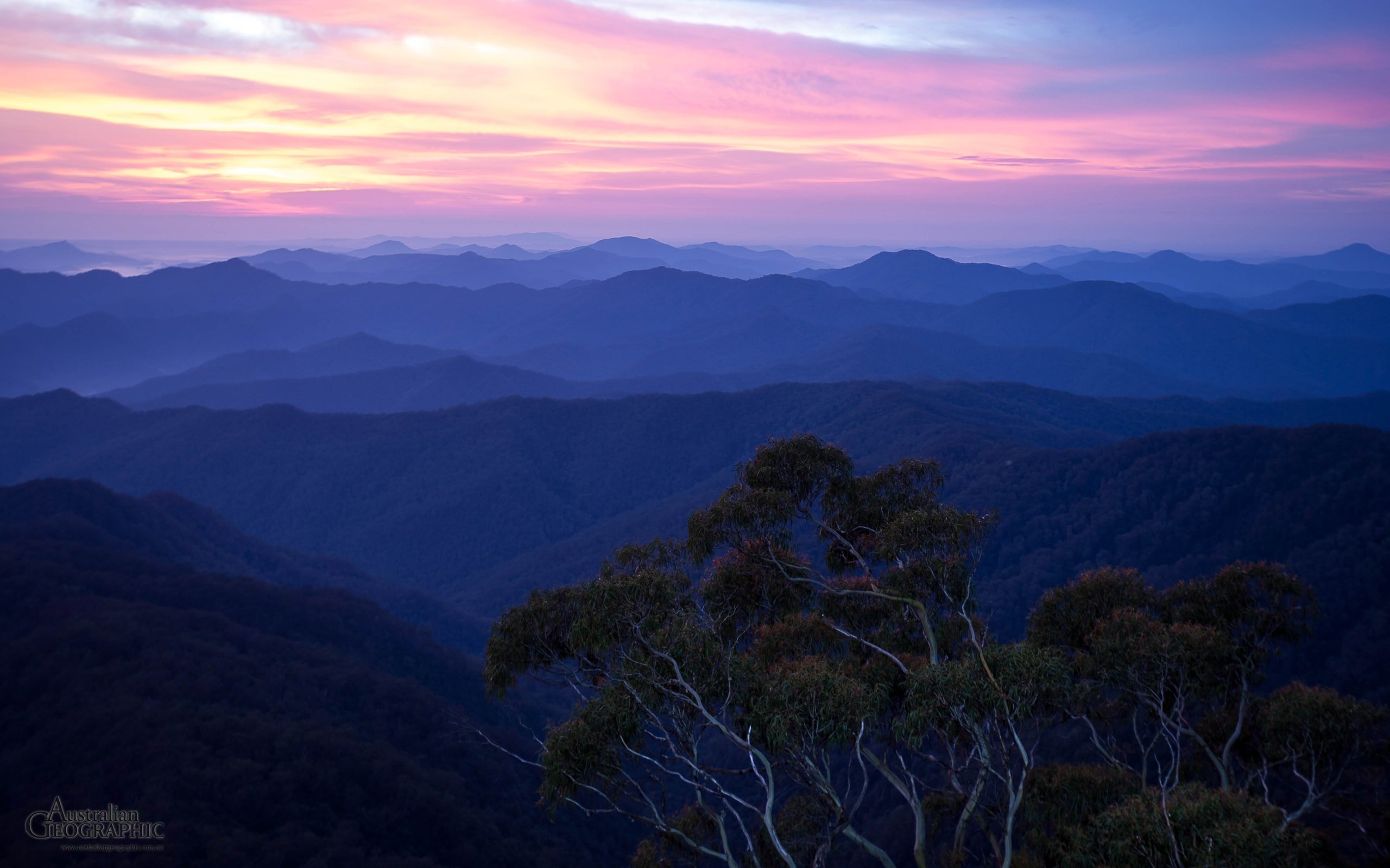 New England National Park - Australian Geographic