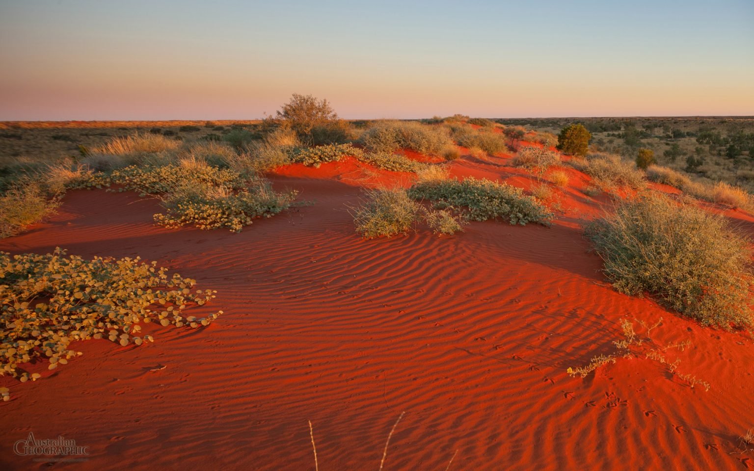 Red Dunes Simpson Desert Australian Geographic