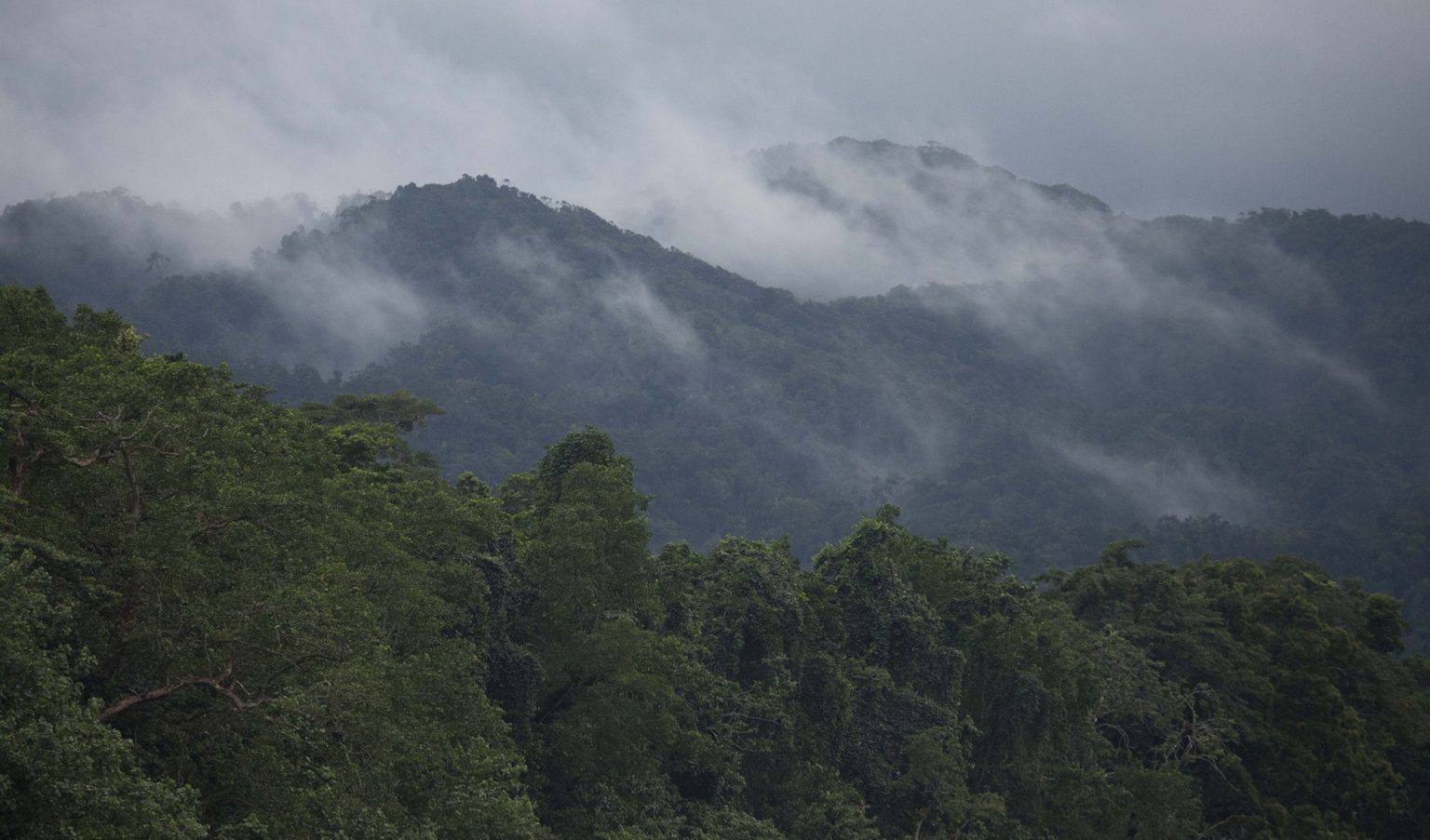 ‘They could run their fingers through the soil’: the role of Aboriginal ...