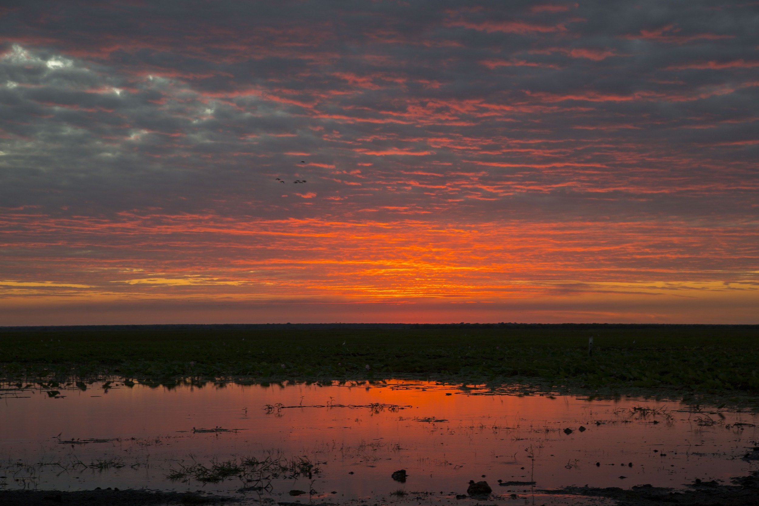 9 must-do activities in the Top End