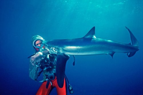 The Aussie women dominating natural history filmmaking