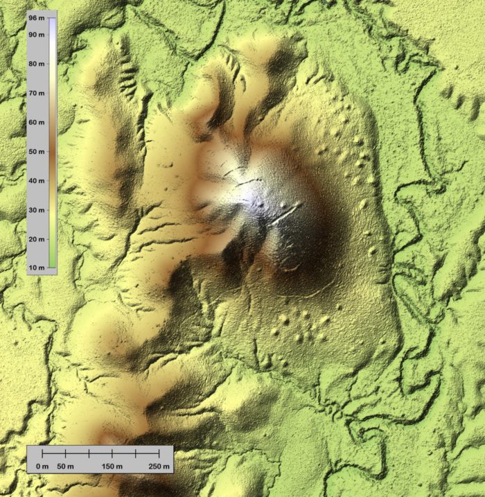 Laser scans of Australian rainforest reveals hidden lives of Australian