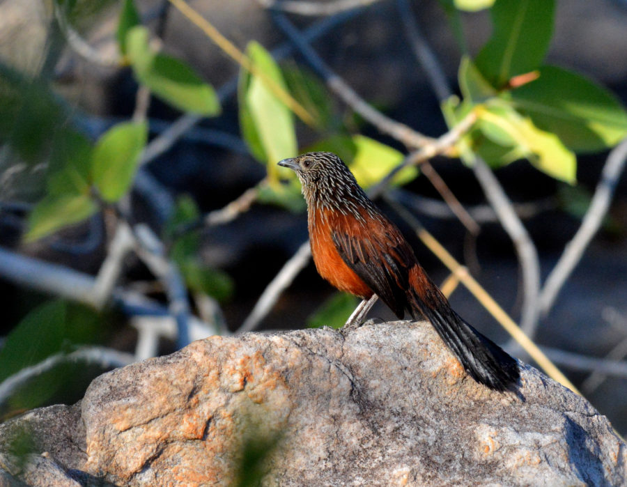 10 reasons why Australia’s Kimberley is like no other place on Earth